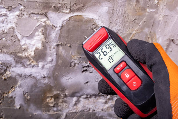 Best Commercial Mold Remediation in Clinton, WA